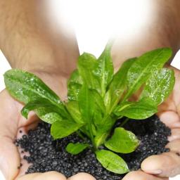 Água Planta Fertilidade Substrato para aquário, solo de aquário, fertilizante, flutuador aquático, argila de grama, substrato do solo - Image 3