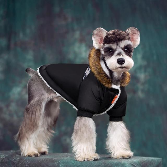 Casaco Impermeável e Quente para Cães Pequenos - Hoodies Estilosos para Pugs e Chihuahuas no Outono