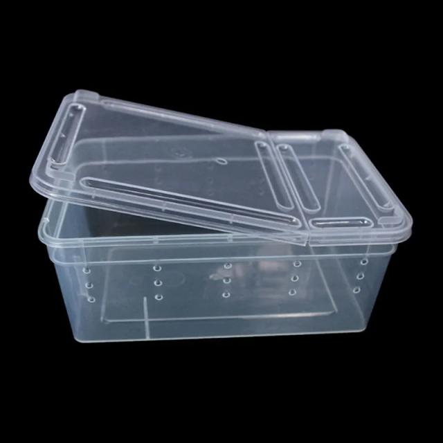 Terrário Transparente para Répteis e Insetos: Ideal para Transporte e Alimentação com Opção de Drop Shipping