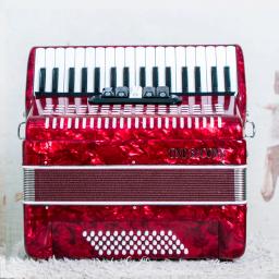 ONSECOND-Acordeão para crianças e adultos, estilo teclado, 60 graves, desempenho profissional - Image 4