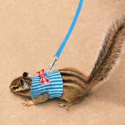 Conjunto de arreios para coelho, coletes e coletes para animais pequenos, hamster, furão, coelho, coelho, alça peitoral - Image 4