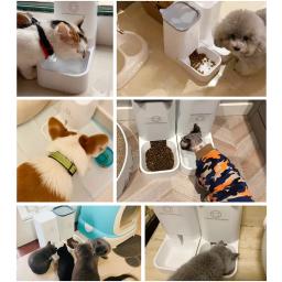 Alimentador e bebedor automático para gatos, grande capacidade, cão, dispensador de água, filhotes de estimação, recipiente de comida, alimentação automática para gatos - Image 6