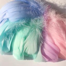 Penas de ganso naturais para decoração, penas de cisne coloridas, joias artesanais, festa DIY, 3 tamanhos, 4-15cm - Image 1