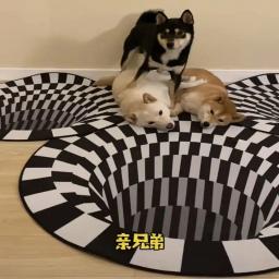 Brinquedos do cão 3d vertigo tapete engraçado gato de estimação brinquedo artefato para andar a roupa do cão cães acessórios suppules teste plaything - Image 5