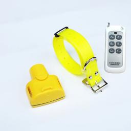 Cão de controle remoto treinamento colar beeper caça cão rastreamento coleiras recarregável poderia treinar até 1 ou 2 ou 3 cães - Image 5