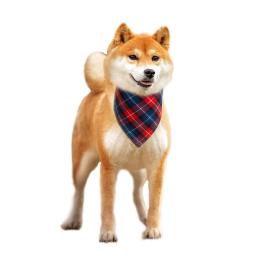 Bandanas do cão grande lenço do animal de estimação bandana para o cão algodão xadrez lavável laço colar gato filhote de cachorro triangular cachecol bib acessórios do cão - Image 2