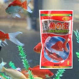 Peixe pequeno para aquário-alimentação para peixes tropicais-com comida deliciosa - Image 2