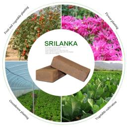 650g planta universal tijolo de coco solo nutritivo verde natural planta tijolo de coco para o plantio de jardim flores vegetais solo - Image 5