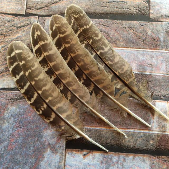 Conjunto de 10 Penas Naturais de Faisão de Alta Qualidade de 10-15 cm para DIY e Decoração de Natal