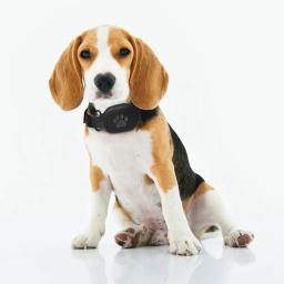 Mini rastreador localizador para animais de estimação, gsm, bds, wi-fi, lbs, gps, rastreador para cães, gatos, gados, ovelhas, localizador - Image 2