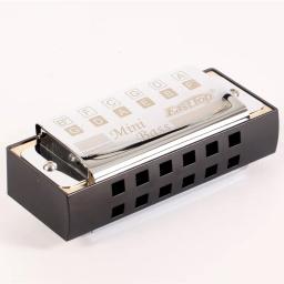 Mini Bass Harmonica com Silver Pocket, Instrumentos musicais profissionais, Ensemble Harmonica, MN10 - Image 2