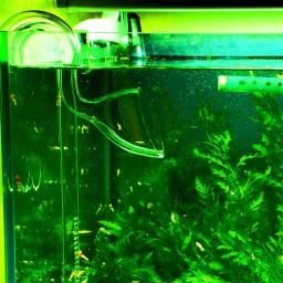 Tubo de saída de vidro para aquário paisagem tanque de peixes tanque plantado lírio tubo filtro acessórios 10mm 13mm 17mm - Image 2