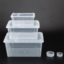 P/m/lplastic caixa de répteis, terrário transparente, recipiente de insetos, transporte de anfíbios, reprodução de comida, caixa de alimentação - Image 6