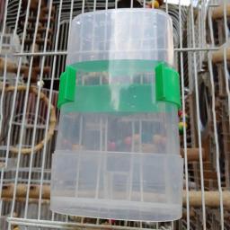 Alimentador de água para aves, automático, copo de beber, papagaio, suprimentos para animais de estimação - Image 1