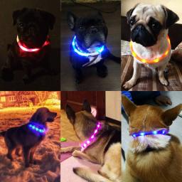 Usb luminoso coleira para animais de estimação para gatos recarregável piscando noite acessórios do cão led luz coleiras do cão incandescente teddy bulldog francês - Image 4