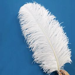 10 pçs natural branco avestruz pena artesanato diy pluma penas jóias fazendo festa de casamento natal plumas decoração 15-70cm - Image 3