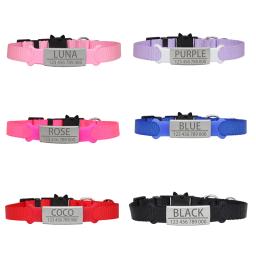 Etiquetas de identificação para animais de estimação, aço inoxidável personalizado para cães pequenos, gatos, gravados personalizados, placa de identificação, acessórios para coleira - Image 2