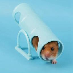 Tubo elástico de hamster, brinquedo interativo de plástico para animais de estimação - Image 4