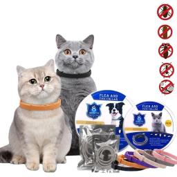 Coleira anti-pulgas e carraça para cães, coleira antiparasitária, acessórios para animais, coleiras de gatos, suprimentos para cachorros, 8 meses, nova - Image 1