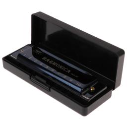Harmonica com Case, Instrumento Musical, 10 Buracos, Chave de C, Educacional, Presente - Image 5
