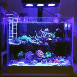 Lâmpada led multifuncional para aquário, espectro, multi-cores, controle inteligente de água do mar, coral, grama aquática, vários ajustes - Image 1