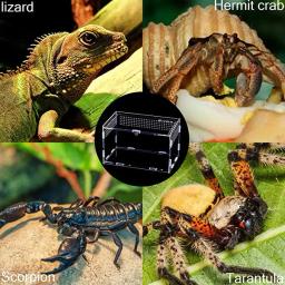 Caixa de acrílico transparente Terrário, Terrário para Répteis e anfíbios, Grilo, Tartaruga, Aranha, Caracol, Terrário para Terrário, Terrário para Terrário, Lagartixa - Image 4