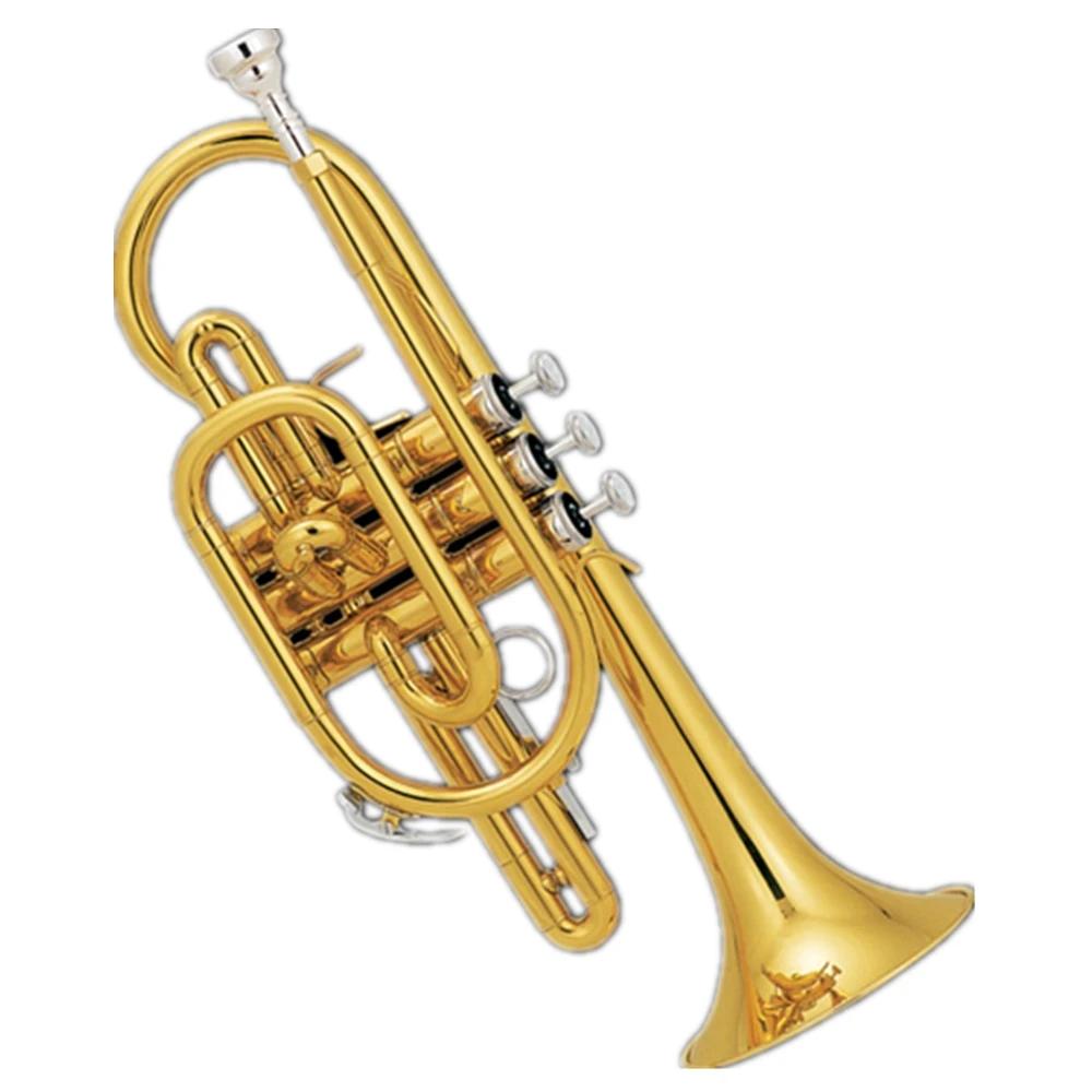 Cornet de tom de pistão cuicel de laca dourada bb - Image 1