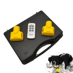 Cão de controle remoto treinamento colar beeper caça cão rastreamento coleiras recarregável poderia treinar até 1 ou 2 ou 3 cães - Image 6