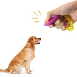 Clicker brinquedos para cão e gato treinamento, pet acessórios do treinamento, 5pcs - Image 6