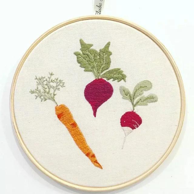 Kit Completo de Bordado para Iniciantes: Artesanato Criativo com Flores, Plantas e Letras