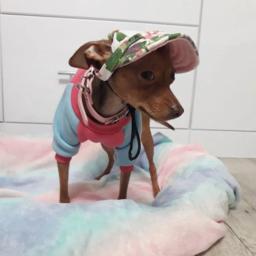 Chapéu de proteção solar ajustável de beisebol, sunbonnet viseira, roupa para cachorro, cão pequeno, pet, gato, esporte ao ar livre - Image 2