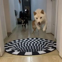 Brinquedos do cão 3d vertigo tapete engraçado gato de estimação brinquedo artefato para andar a roupa do cão cães acessórios suppules teste plaything - Image 1
