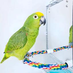 Espelho para pássaros de brinquedo em acrílico, espelho com cordas, brinquedos para pássaros, balanço confortável para paraquetes, baratas, conure, amantes, canárias - Image 5