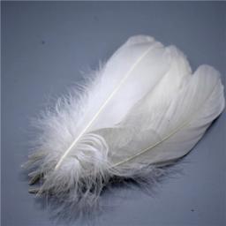 Penas de ganso naturais para artesanato, vestuário decorativo de 5-7 "13-18cm para casamento - Image 4
