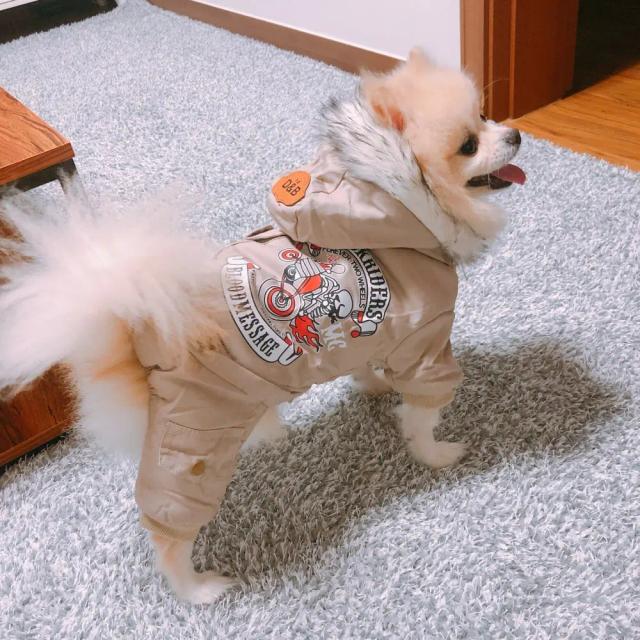 Casacos Quentes e Confortáveis para Pets: Roupas de Inverno para Cachorros e Gatos