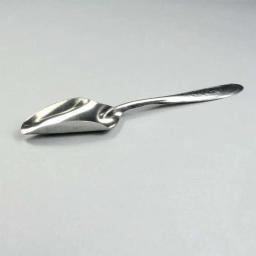 Colher de alimentação de bebê pássaro 5 peças, de aço inoxidável leite medicina papagaio alimentador para todos o bebê pássaro peônia calopsita - Image 4