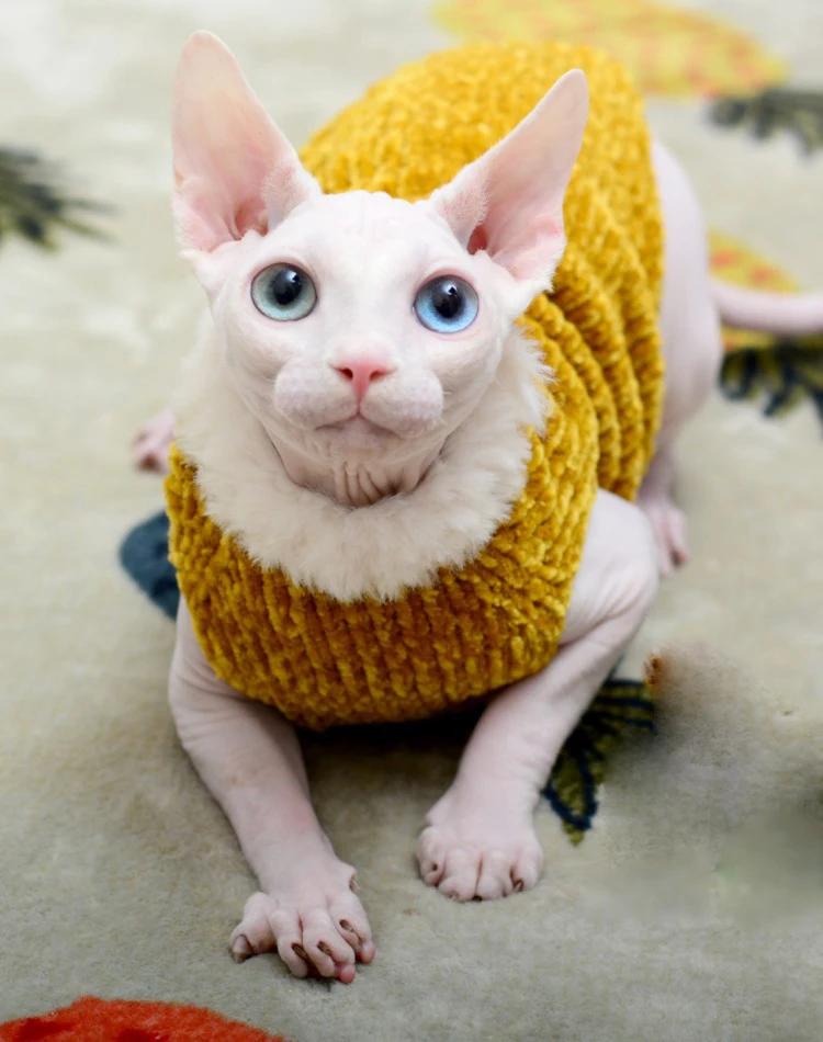 Roupas de gatos quentes artesanais de inverno, suéter de malha macia para gatos, roupa com capuz sphynx, pulôver para gatinhos, roupas para gatos - Image 1