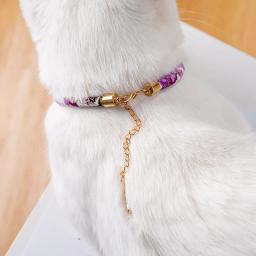 Suprimentos para animais de estimação gato sinos acessórios para animais de estimação coleiras de gato shrinkable estilo japonês elástico sinos coleiras de gato anti-perdido bonito rabbi - Image 6