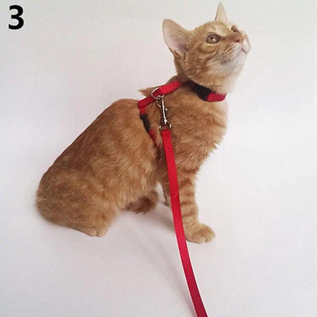 Coleira Ajustável de Nylon para Pets com Guia de Chumbo e Corda de Segurança para Tração