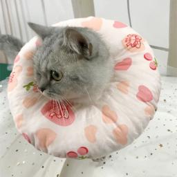 Novo gato de estimação cães recuperação de saúde elizabetana algodão enchimento colarinho de proteção médica cone e-collar para cão e gato - Image 4