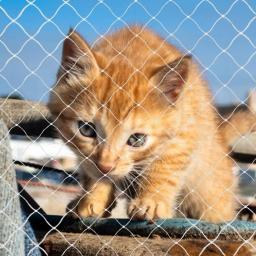 Rede de proteção para animais de estimação, rede de nylon resistente e segura para evitar que gato saia ou antiqueda da varanda - Image 3