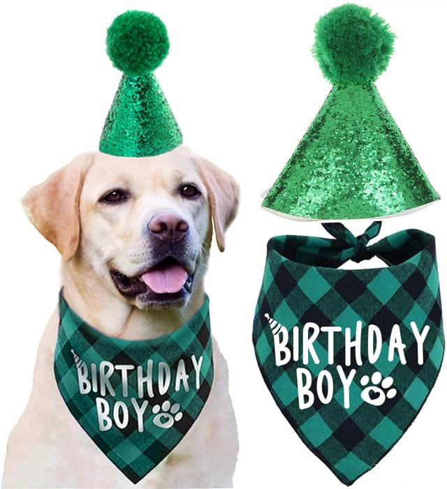 Chapéu e Bandana de Aniversário para Cães e Cachorrinhos Meninos - Suprimentos de Festa Temática