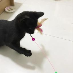 Vareta de brinquedo com penas para gatos, brinquedo artificial e interativo de plástico com pequeno rato com guizo para provocar gatos, 1 peça - Image 6