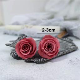 21/pçs 2-3cm de diâmetro mini rosas preservadas flores atacado vida eterna flores imortais material presente diy para esposa decoração de casa - Image 4