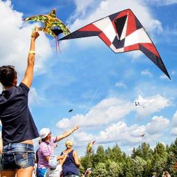 Armadura kite ao ar livre voando brinquedos para crianças cauda longa poliéster pipas com barra de controle e 30m linha m4g4 - Image 3