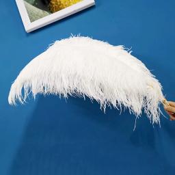 10 pçs natural branco avestruz pena artesanato diy pluma penas jóias fazendo festa de casamento natal plumas decoração 15-70cm - Image 6