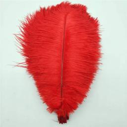 50 pçs/lote elegante pena de avestruz 35-40cm 14-16 polegada penas para artesanato fontes de festa de casamento carnaval dançarino decoração plumas - Image 3