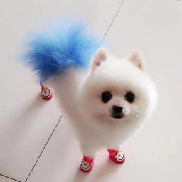 Cão cabelo tintura creme, gato Bichon, Pet tingimento agente pomada, grooming beleza suprimentos - Image 2