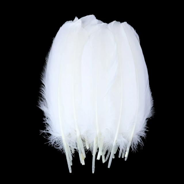 Peças Naturais de Penas de Ganso Tingidas para Artesanato e Acessórios de Casamento - 15-20cm/6-8 Polegadas