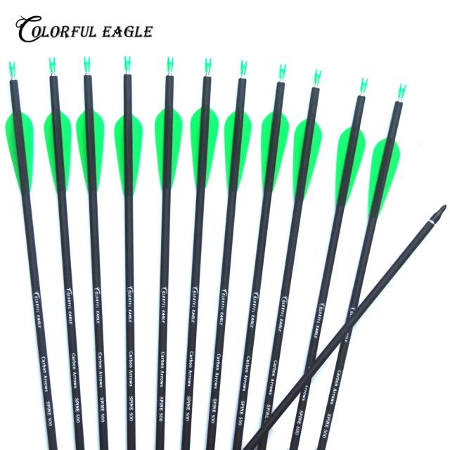 Setas de Carbono para Arco Recurvo e Composto - 28", 30" e 31" com Espinha de Plástico e Placas Substituíveis